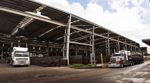 Trucks in a factory building